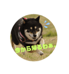 小梅すたんぷ（個別スタンプ：1）