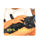 黒猫・あめちゃん・関西弁（個別スタンプ：4）