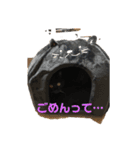 黒猫・あめちゃん・関西弁（個別スタンプ：9）