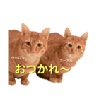 えまごろう.王国（個別スタンプ：2）