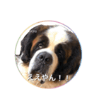 えまごろう.王国（個別スタンプ：6）
