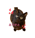 えまごろう.王国（個別スタンプ：7）