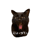 えまごろう.王国（個別スタンプ：15）