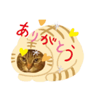 みー＆くー 人生ニャンとかなる スタンプ（個別スタンプ：7）
