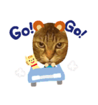 みー＆くー 人生ニャンとかなる スタンプ（個別スタンプ：15）