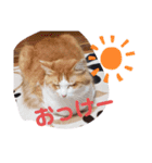 ケンとロン（個別スタンプ：4）