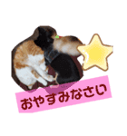 ケンとロン（個別スタンプ：8）