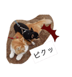 ケンとロン（個別スタンプ：11）