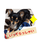 ケンとロン（個別スタンプ：12）