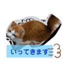 ケンとロン（個別スタンプ：13）