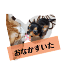 ケンとロン（個別スタンプ：16）