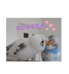 愛しのインコちゃん♡（個別スタンプ：14）