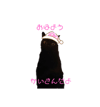 黒猫かいさん（個別スタンプ：2）