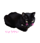 黒猫かいさん（個別スタンプ：4）