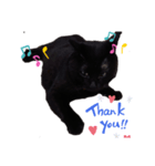 黒猫かいさん（個別スタンプ：8）