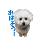 ムクのHappyスタンプ（個別スタンプ：1）
