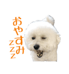 ムクのHappyスタンプ（個別スタンプ：2）