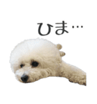 ムクのHappyスタンプ（個別スタンプ：7）