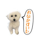ムクのHappyスタンプ（個別スタンプ：8）