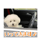 ムクのHappyスタンプ（個別スタンプ：14）