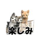 ねこが言う・伍（個別スタンプ：20）