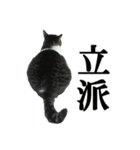 ねこが言う・伍（個別スタンプ：23）