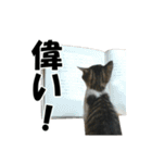 ねこが言う・伍（個別スタンプ：24）