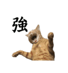 ねこが言う・伍（個別スタンプ：33）