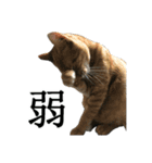 ねこが言う・伍（個別スタンプ：34）