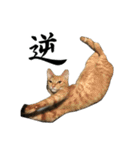 ねこが言う・伍（個別スタンプ：40）