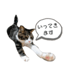 日常生活 HINA（個別スタンプ：5）