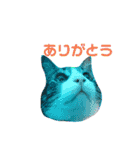 日常生活 HINA（個別スタンプ：9）