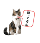 日常生活 HINA（個別スタンプ：30）
