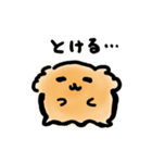 まるチーズ プレデビュー（個別スタンプ：20）