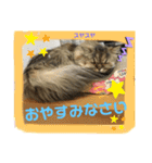 はっしーんちのぎょうちゃんスタンプ（個別スタンプ：5）