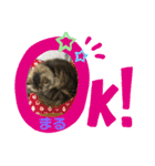 はっしーんちのぎょうちゃんスタンプ（個別スタンプ：9）