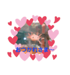 チワプー♡小麦です（個別スタンプ：18）