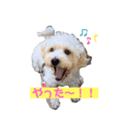 ふくくんスタンプ2（個別スタンプ：2）