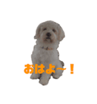 ふくくんスタンプ2（個別スタンプ：3）