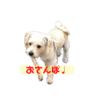 ふくくんスタンプ2（個別スタンプ：7）