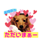 岡村ブラザーズ！！（個別スタンプ：16）