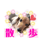 岡村ブラザーズ！！（個別スタンプ：28）