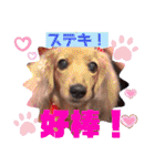 岡村ブラザーズ！！（個別スタンプ：36）