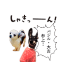 バジル・大吉のスタンプ by CoCo STAMP（個別スタンプ：2）