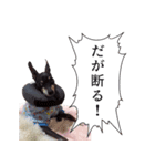 バジル・大吉のスタンプ by CoCo STAMP（個別スタンプ：5）
