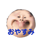 みんな大好きせいたむスタンプ（個別スタンプ：3）