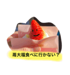 いちごも（個別スタンプ：16）