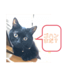 くー と ぽぽ（個別スタンプ：1）