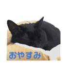 くー と ぽぽ（個別スタンプ：4）