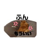 ももちゅうの日常スタンプ（個別スタンプ：9）